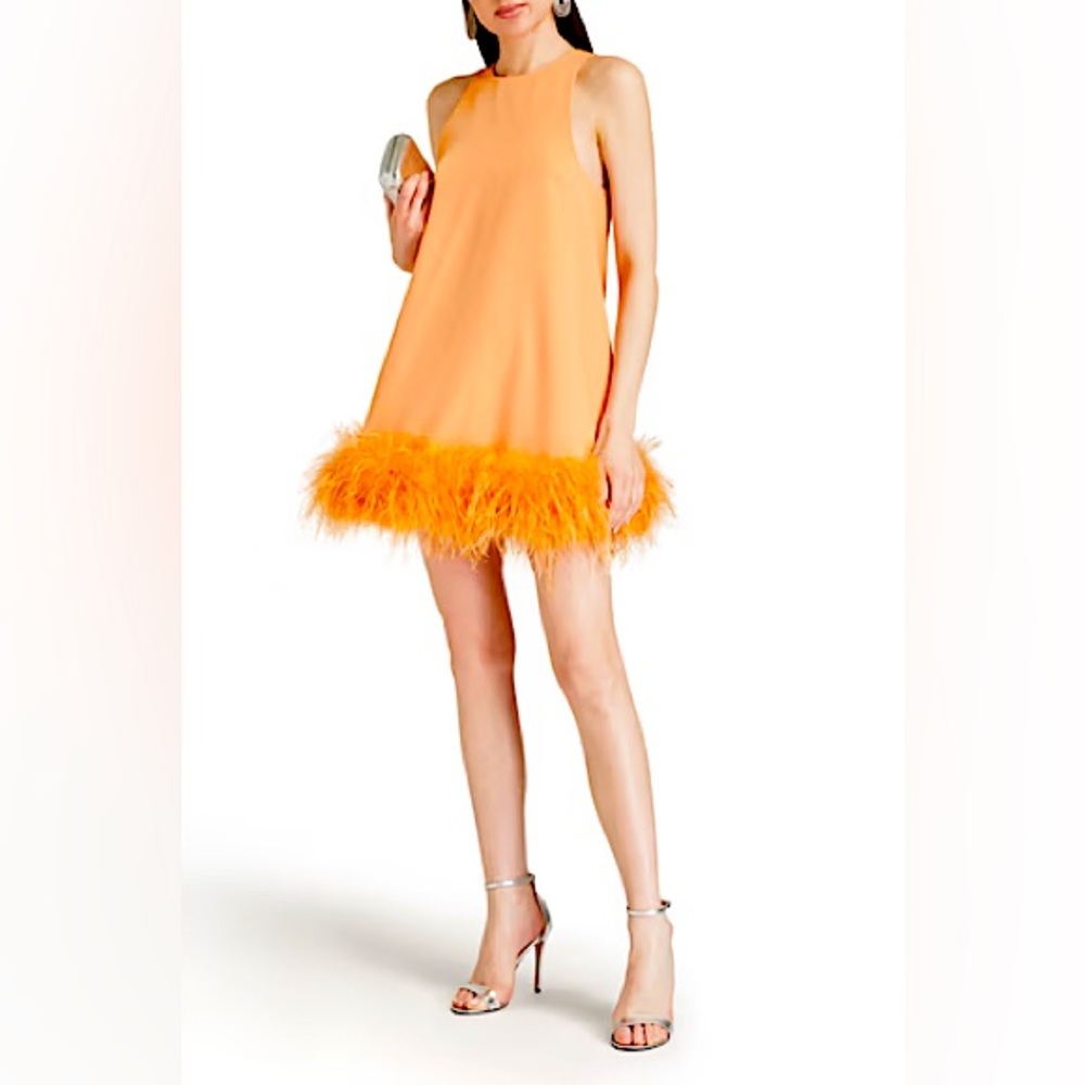 Ronny Kobo Feather Dress